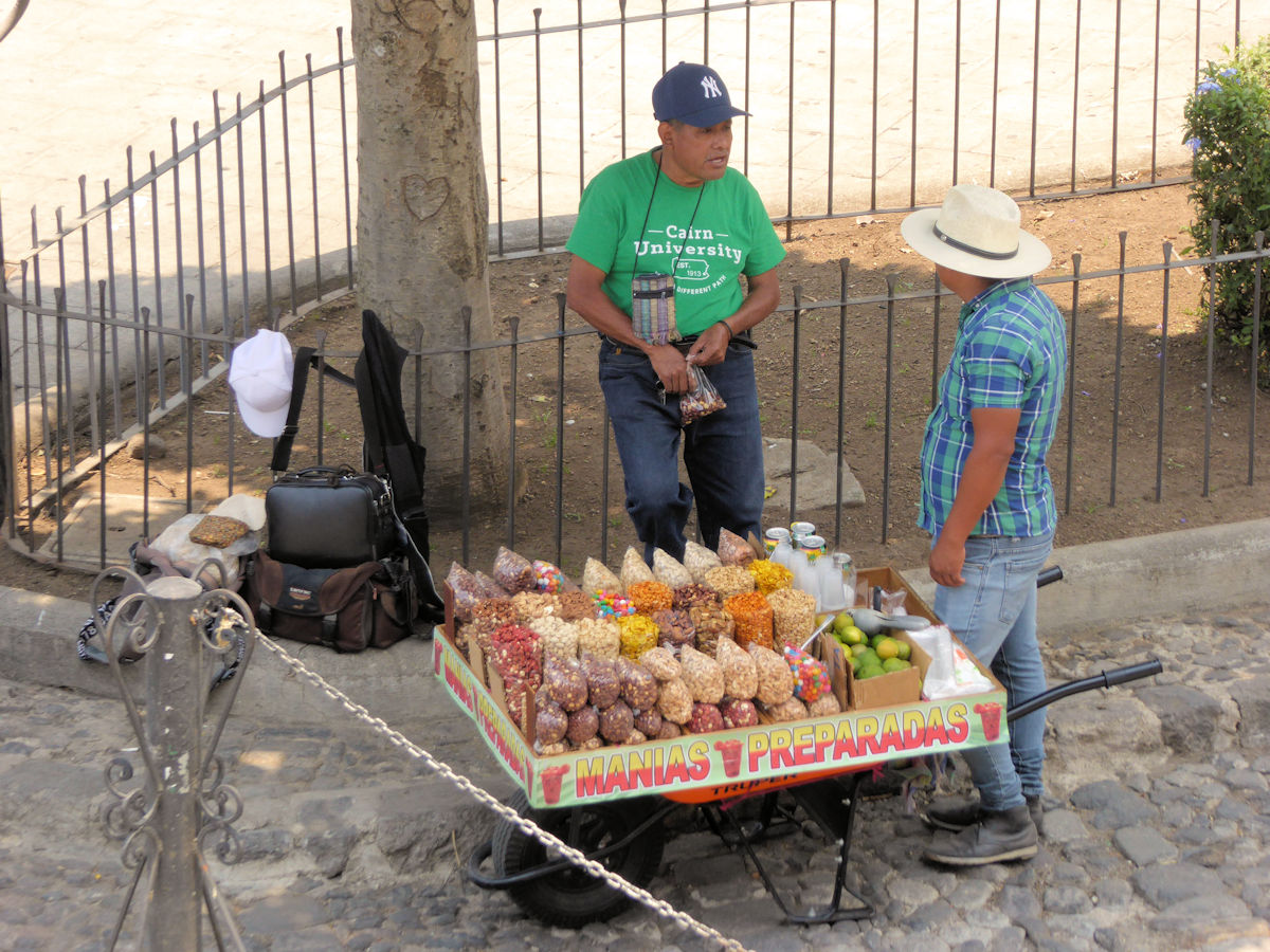 Vendedor en el parque central, Antigua, Guatemala