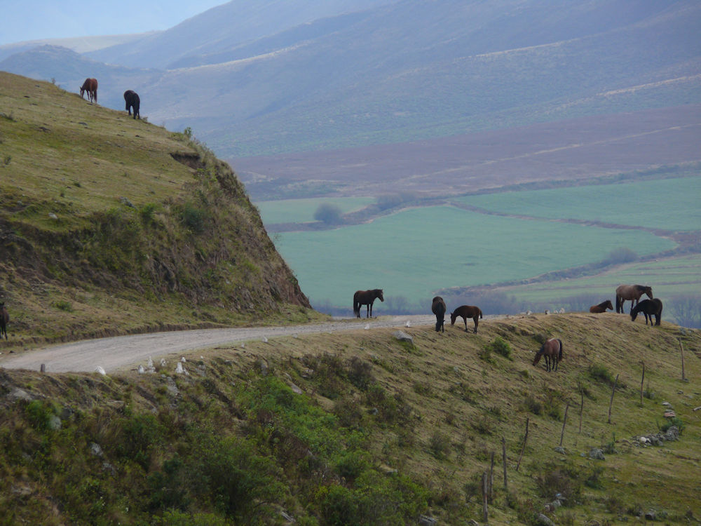 Alrededores de Tafí del Valle, Tucumán, Argentina