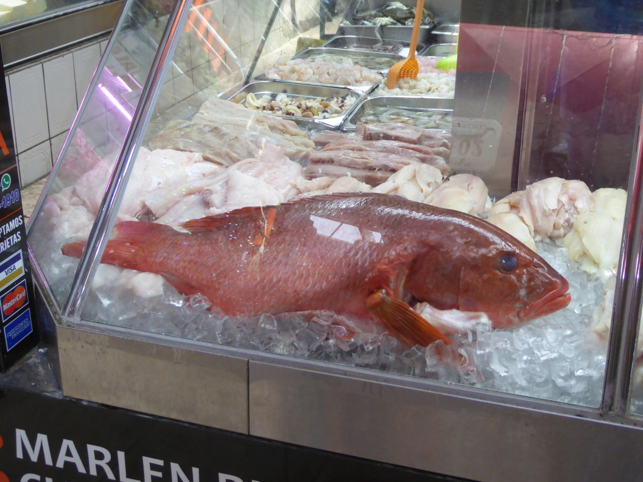 Pargo rojo en el mercado municipal de Alajuela