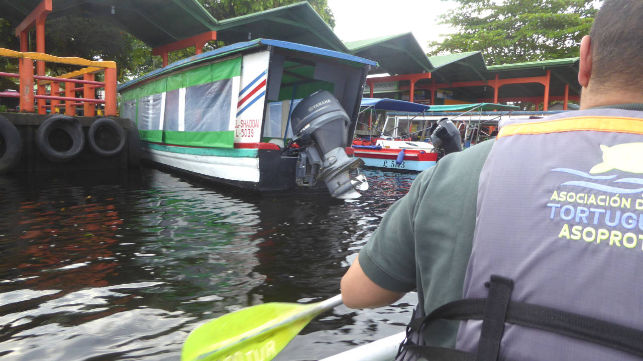 Paseo en canoa en los canales de Tortuguero