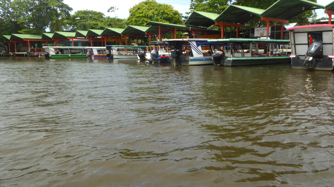 El muelle fluvial de Tortuguero