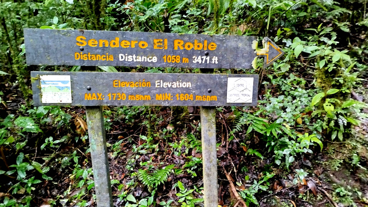 Sendero El Roble en la Reserva de Bosque Nuboso de Monteverde