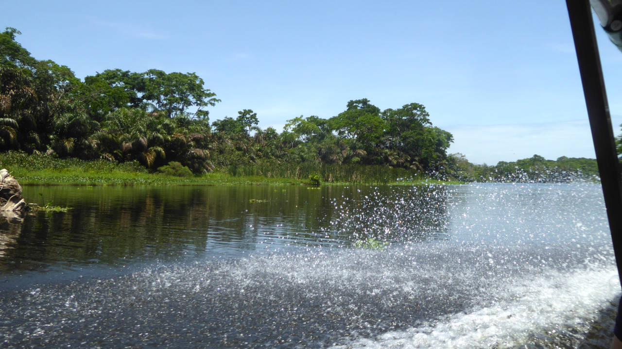 En viaje hacia Tortuguero desde Moín