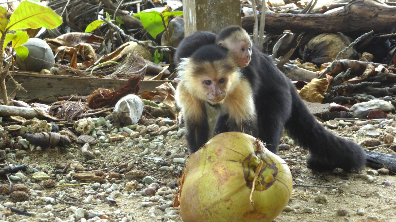 Habitante del Parque Nacional Cahuita y su familia