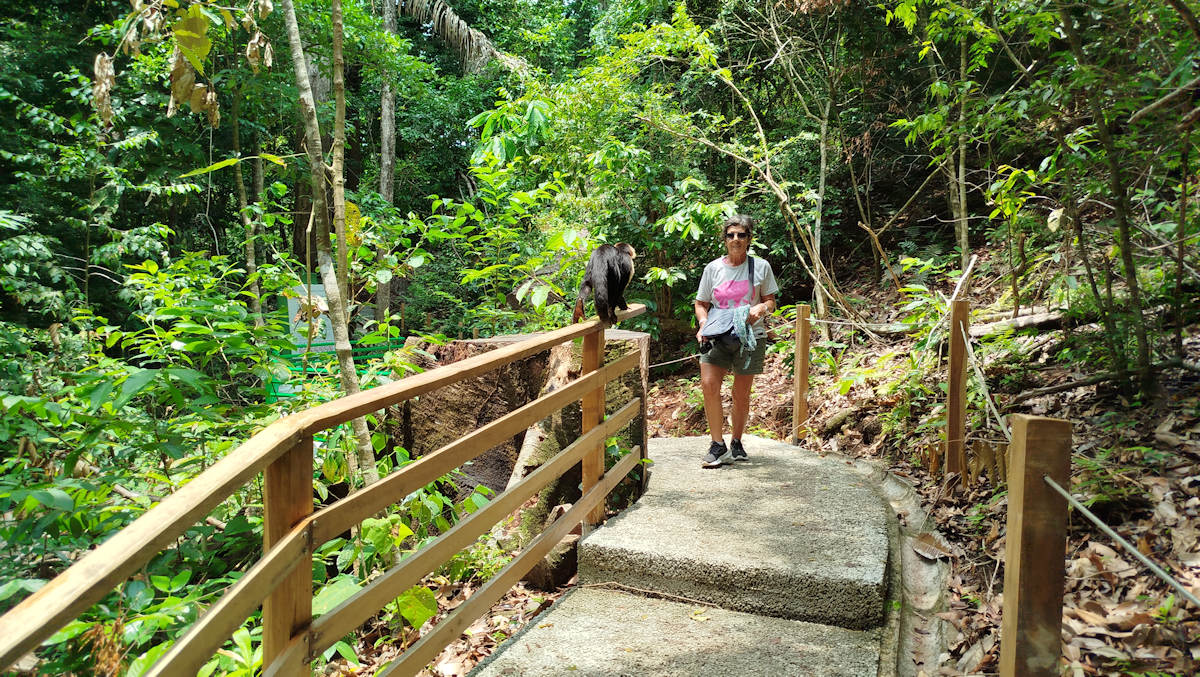 Sendero en el Parque Nacional Manuel Antonio, Costa Rica