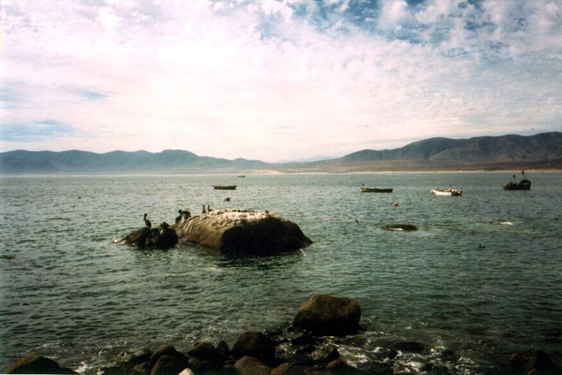 Pan de Azúcar, chañaral, Chile