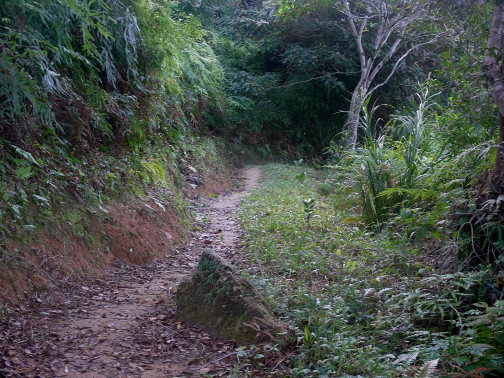 Trilha (sendero) Ponta do Baguarí, Ubatuba, San Pablo, Brasil