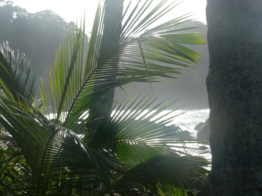 Ponta do Baguarí, Ubatuba, San Pablo, Brasil