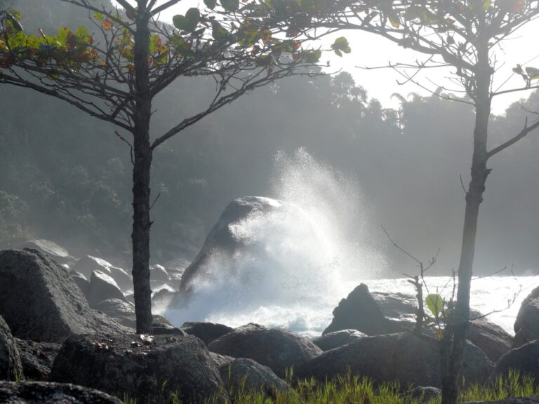 Ponta do Baguarí, Ubatuba, San Pablo, Brasil