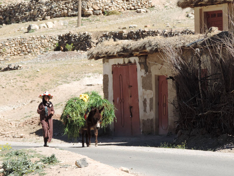 Sidi Mousa, Valle Feliz, Marruecos