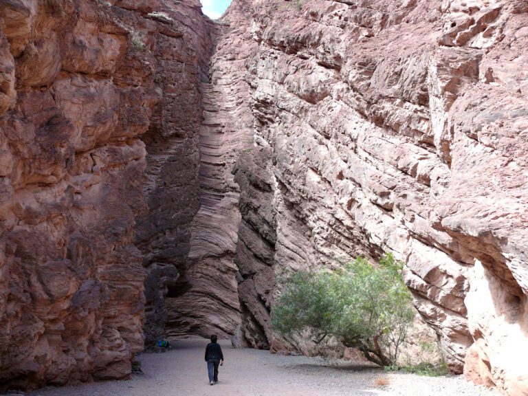 Quebrada de las Conchas, Cafayate, Salta, Argentina