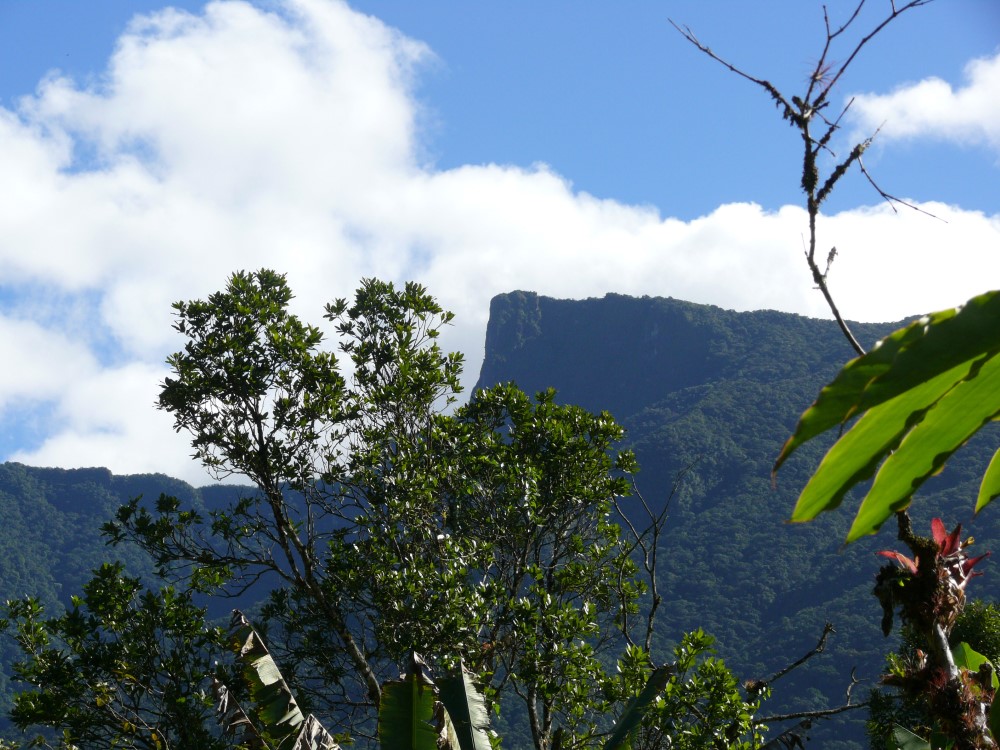 Morro do Corcovado, Ubatuba, San Pablo, Brasil