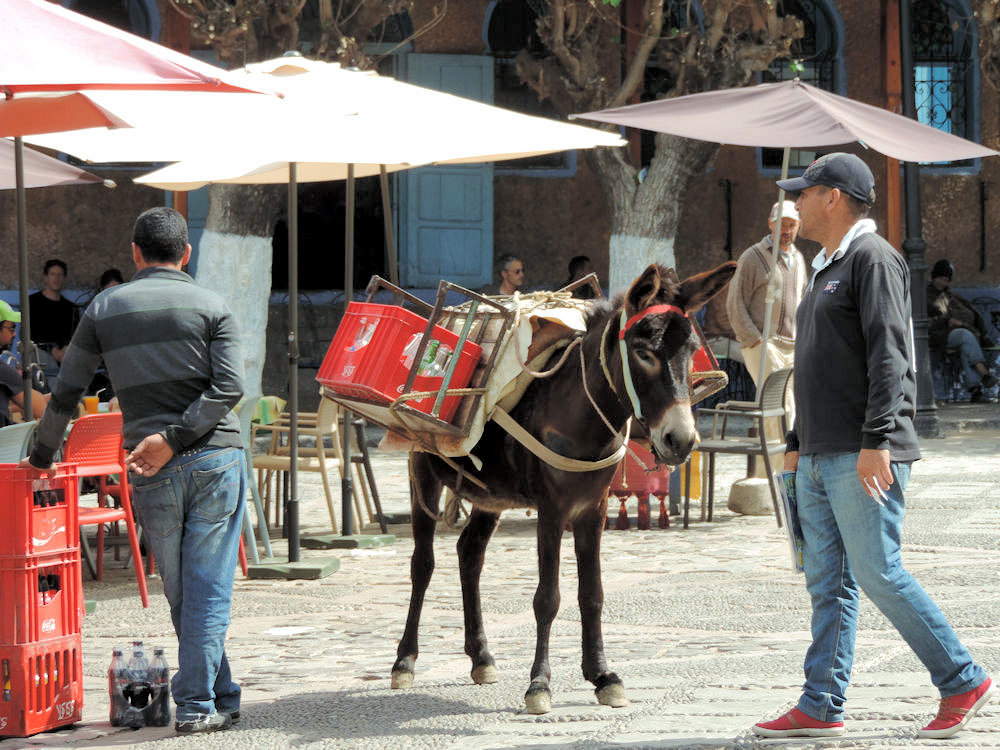 Centro de la medina de Chefchaouen, Marruecos