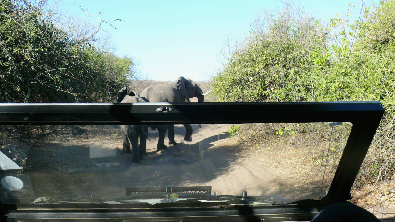 Parque Nacional de Chobe, Botswana