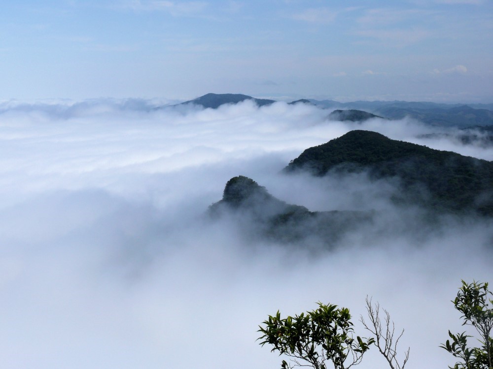 Vista desde la cima del Morro do Corcovado, Parque Estadual da Serra do Mar, San Pablo, Brasil