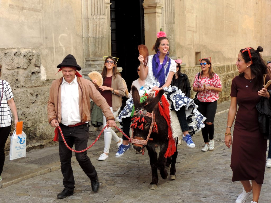 Granadinos y alegría, Granada, España