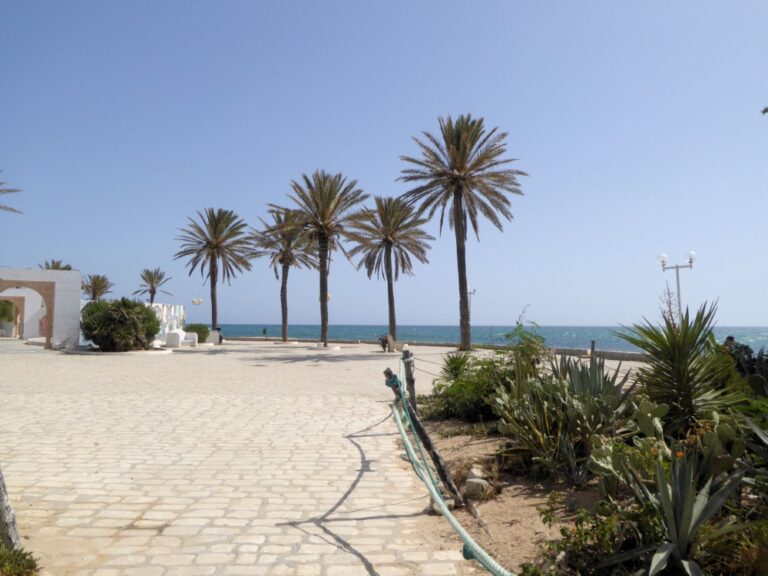Orla de Hammamet, Tunísia