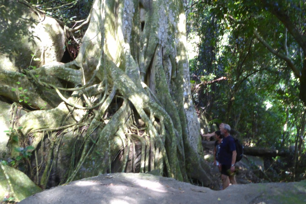 Sendero a Playa de Abraãozinho, Ilha Grande, Rio de Janeiro, Brasil
