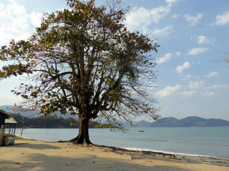 Praia da Cassandoca, Ubatuba, São Paulo, Brasil