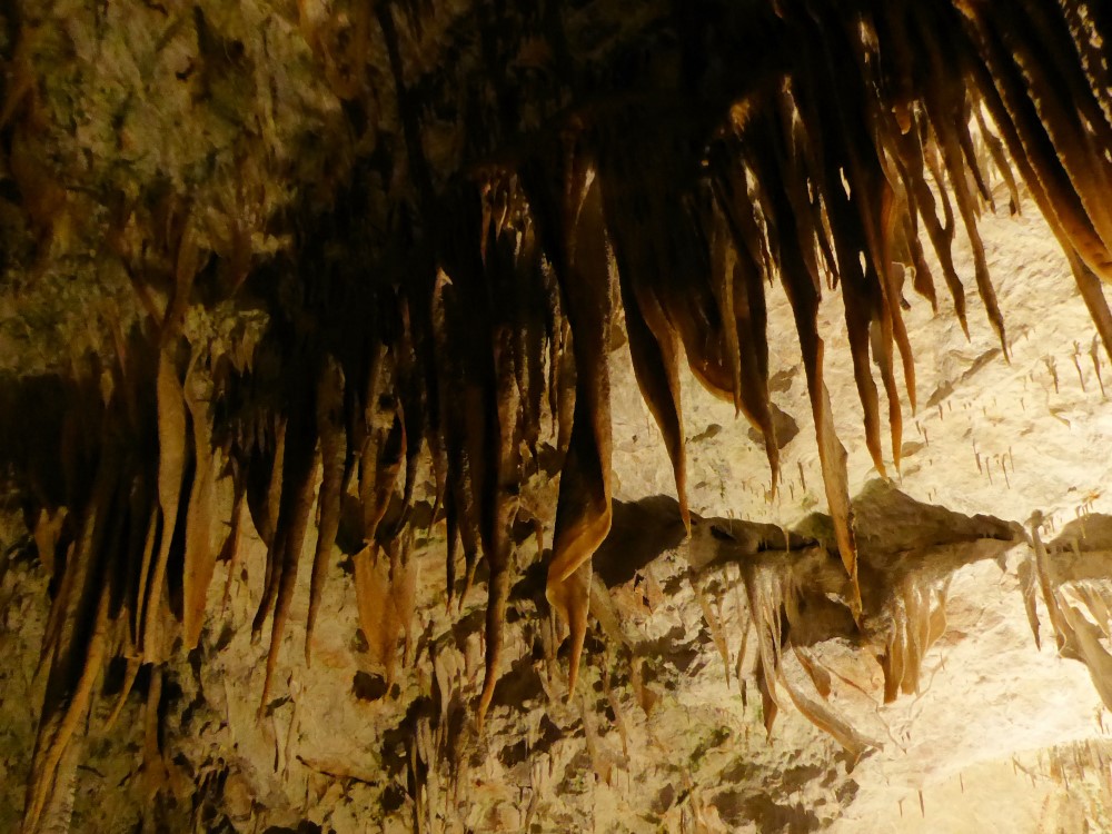 Gruta de Postojna, Eslovenia