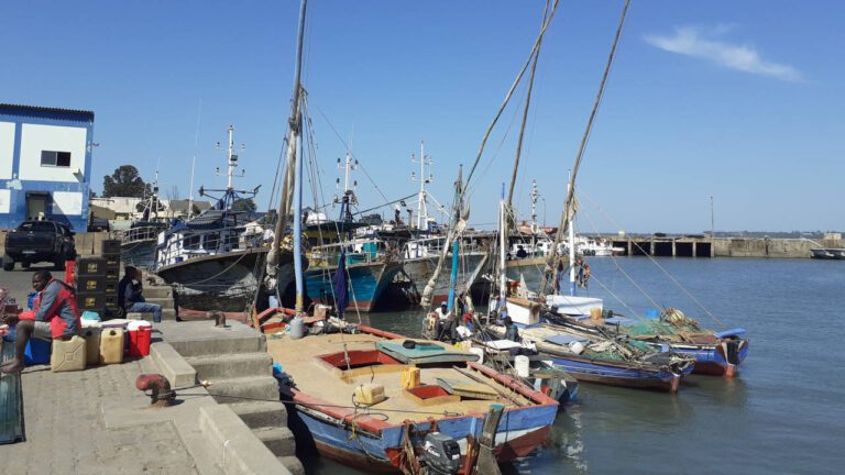 Dhows no porto de pesca de Maputo, Moçambique
