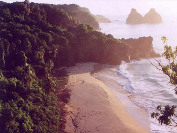 Boldró, Fernando de Noronha, Brasil