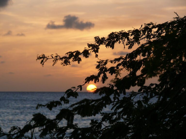 Puesta de sol en Palm Beach, Aruba.