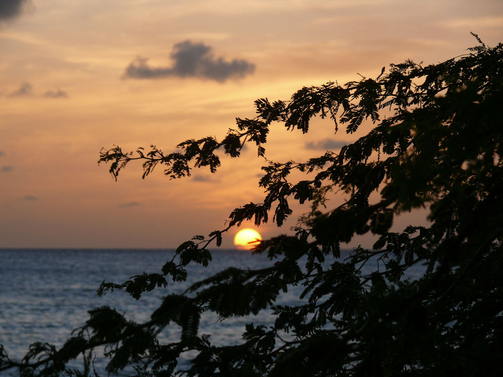 Puesta de sol en Palm Beach, Aruba.