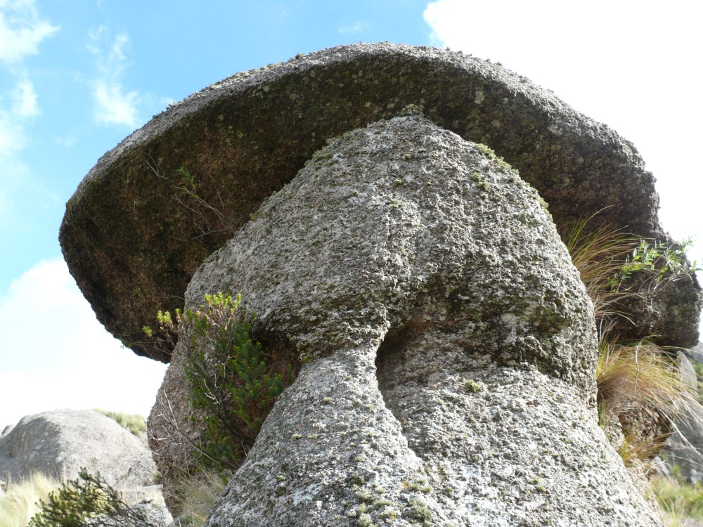 Piedra "El Vasco", Puesto El Picaflor, cumbres cortaderinas, Cortaderas, Provincia de San Luis, Argentina