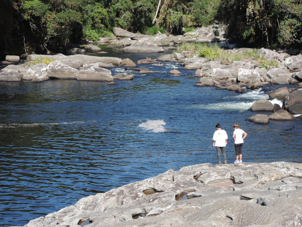 Sendero de la Pirapitinga, Parque Estadual da Serra do Mar, San Pablo, Brasil