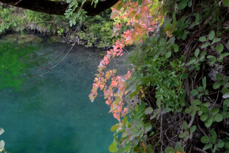 Parque Nacional Lagos de Plitvice (Plitvika Jezera), Croacia