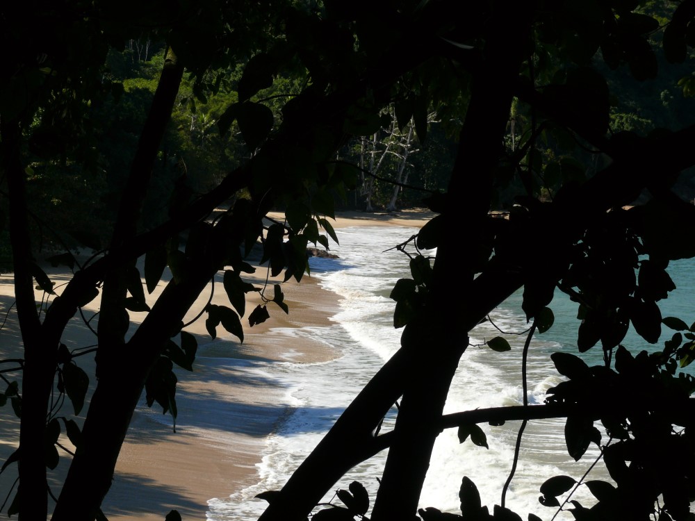 Playa Deserta, Ubatuba, San Pablo, Brasil