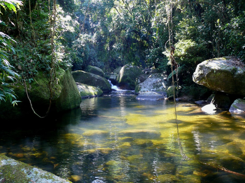 Pedra da Rasa, Ubatuba, estado de San Pablo, Brasil