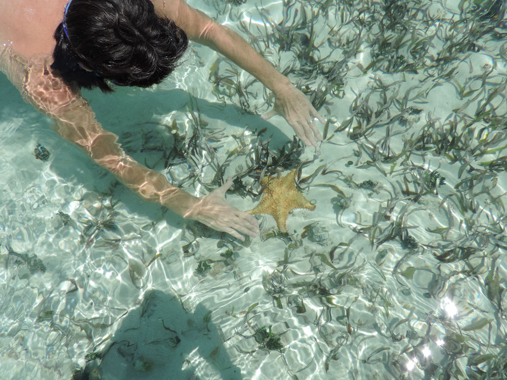 Piscina de las estrellas, San Blas, Panamá