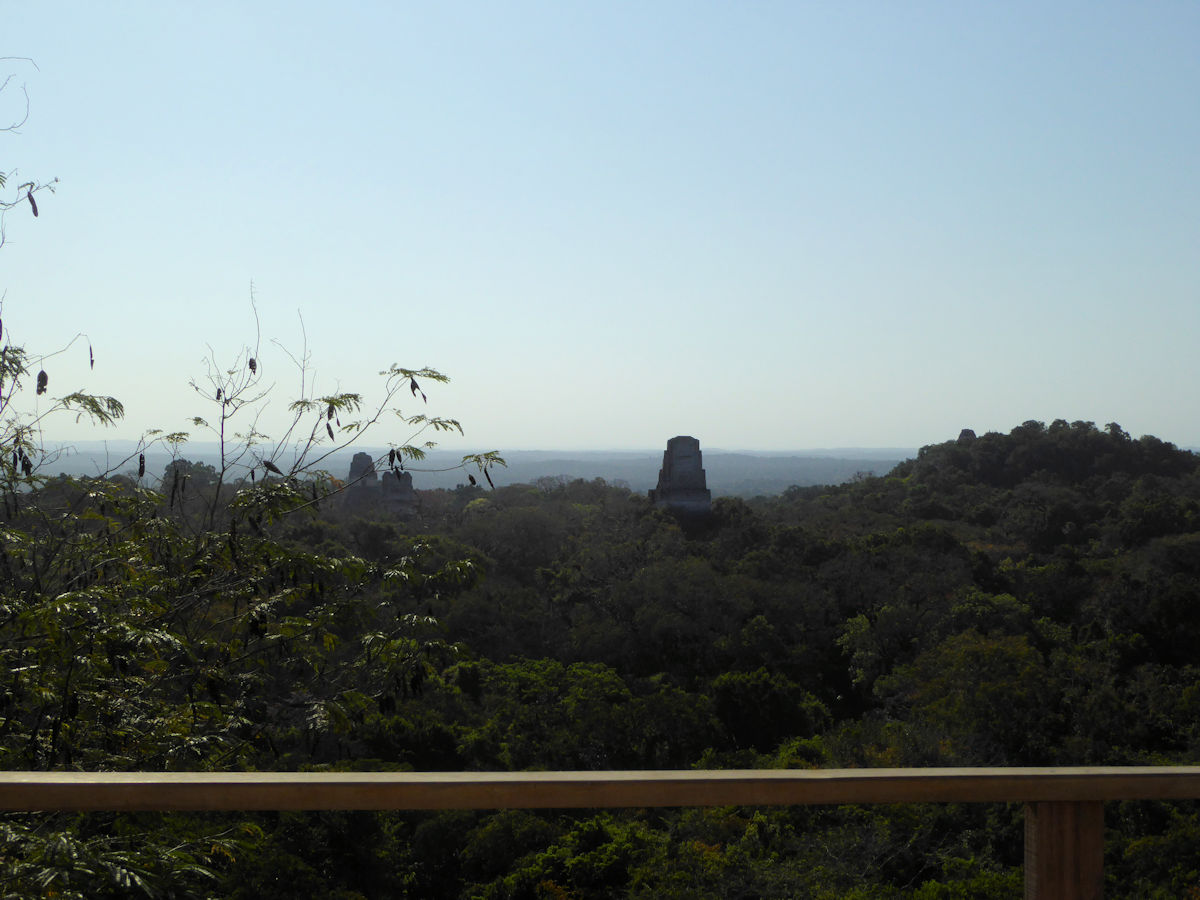 Vista desde el templo IV, Tikal, Guatemala