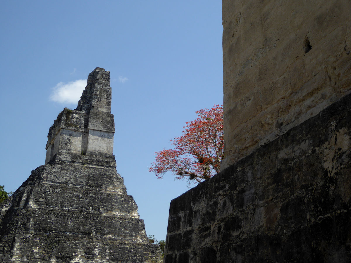 Templo del Gran Jaguar, Tikal, Guatemala