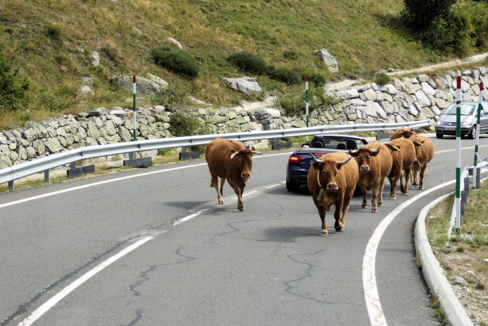 Ruta C-13, Lérida, España