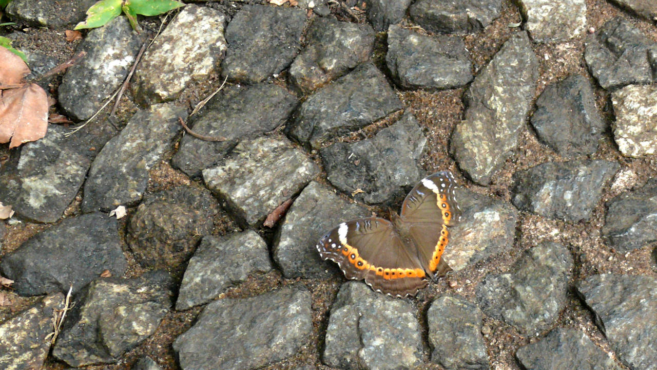 Cataratas Victoria, Zimbabwe