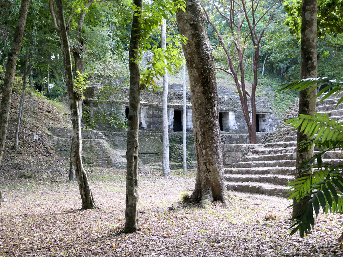 Estructura vecina a la cancha del juego de pelota adyacente a la PLaza de los Pájaros, Yaxhá, Petén, Guatemala